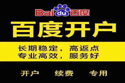 百度推广价格策略：不同阶段案例解析